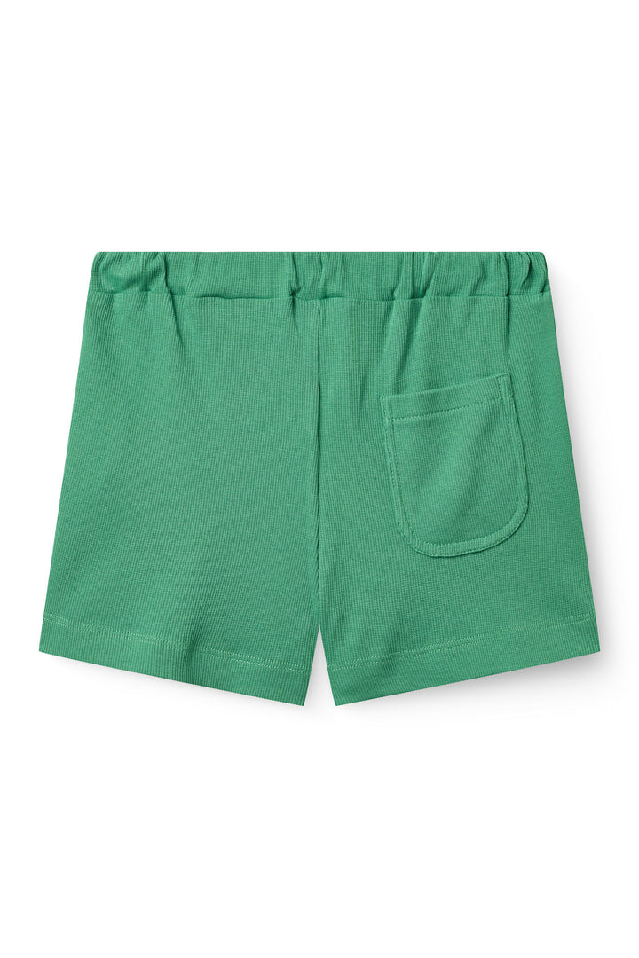 MODAL SHORTS - SHARP GREEN