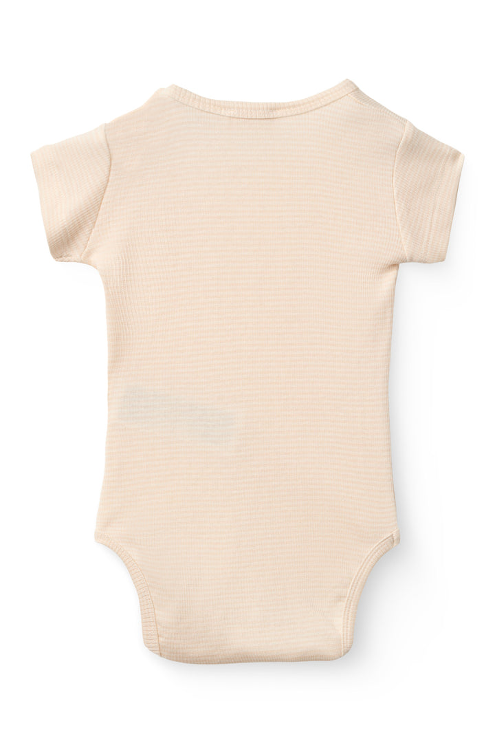 STRIBET MODAB RIB SS BODY - DUSTY ROSE STRIPE