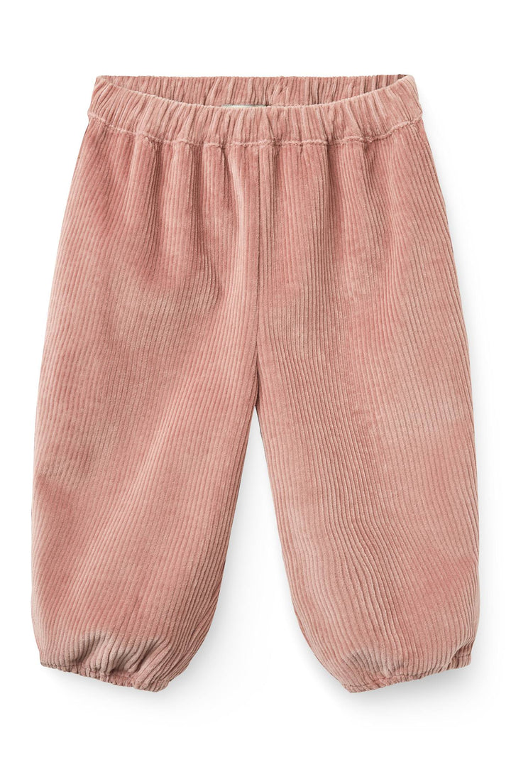 Baby Buks i Fløjl - Winter Rose