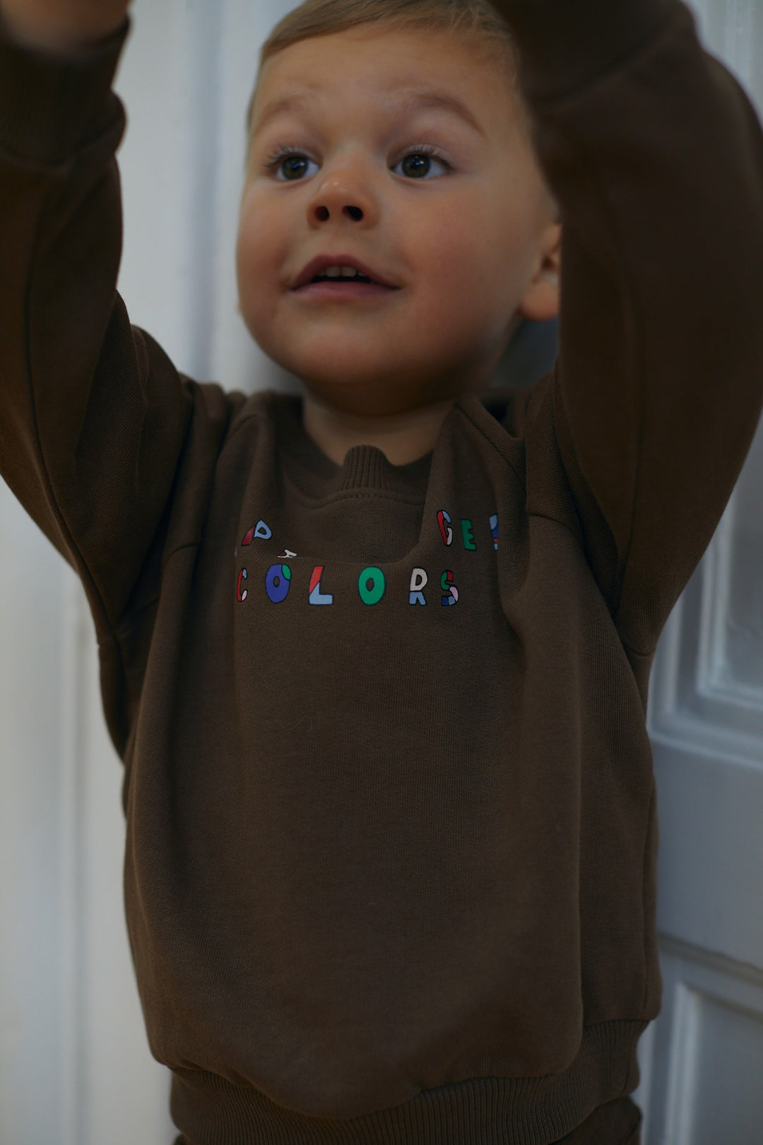 BLØD SWEATSHIRT M. LOGO - CHOCOLATE